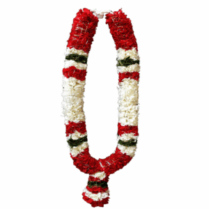 Carnation Garland 4