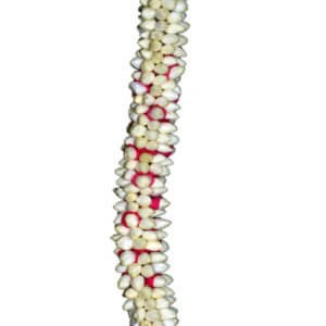 Kondai Malai / Hair Bun 13