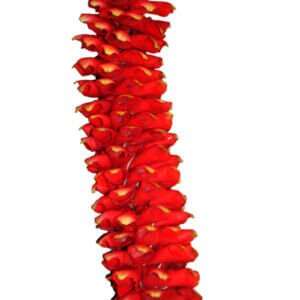 Kondai Malai / Hair Bun 17